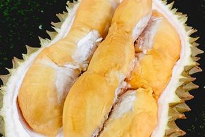 Durian Bawor