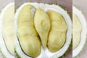 Durian Lokal Jawa