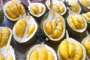 Durian Musang King