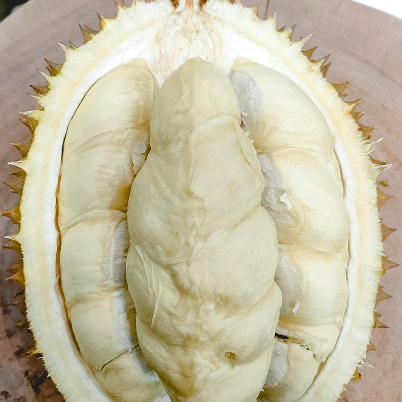 Lokal Jawa durian berkualitas premium