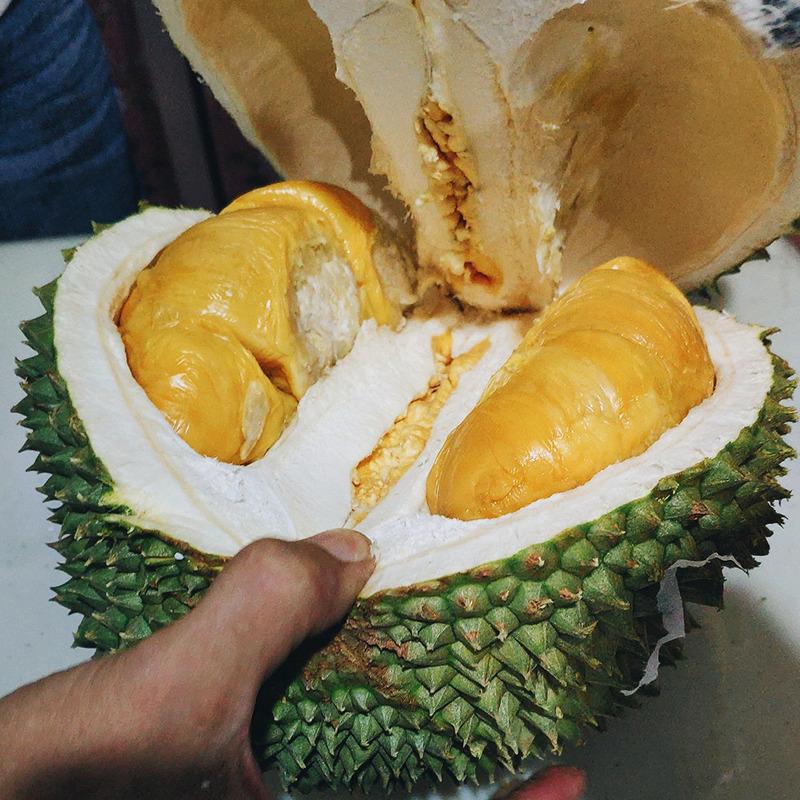 durian duri hitam