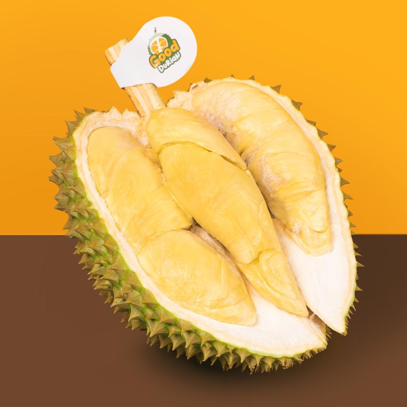 harga durian montong