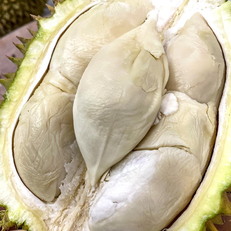 jual durian medan